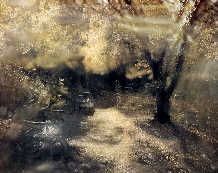  autumn sunshine