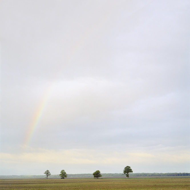  pastel morning