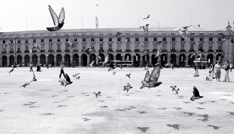  Lisbon