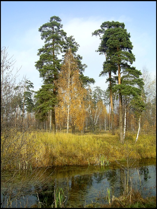  -1