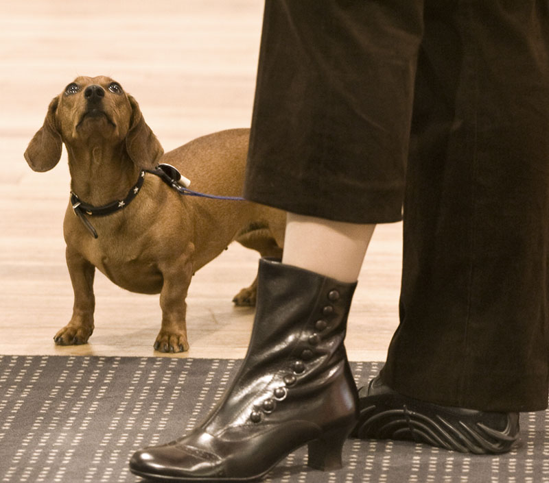  His Masters` Voice