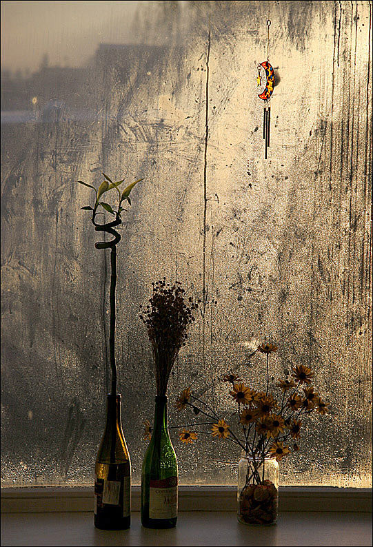  Nature morte