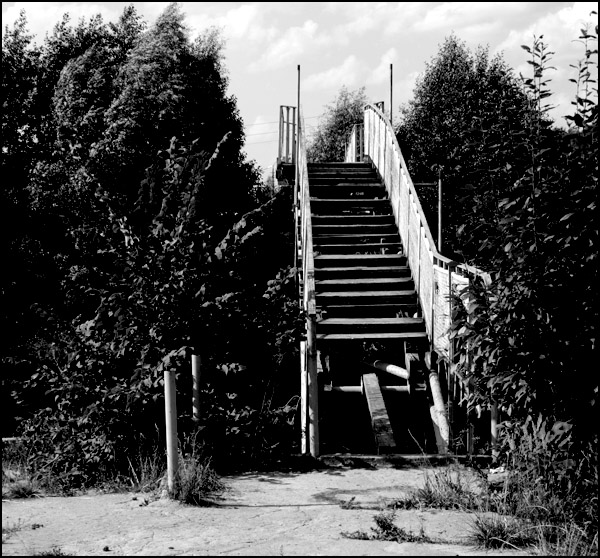  The bridge