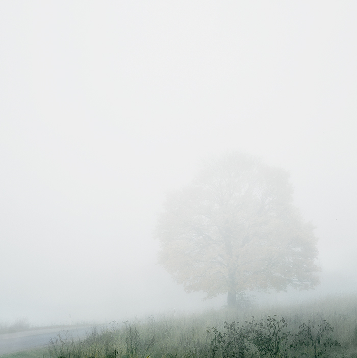  by the road