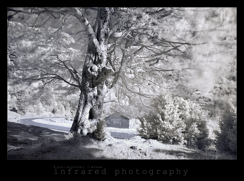  infrared