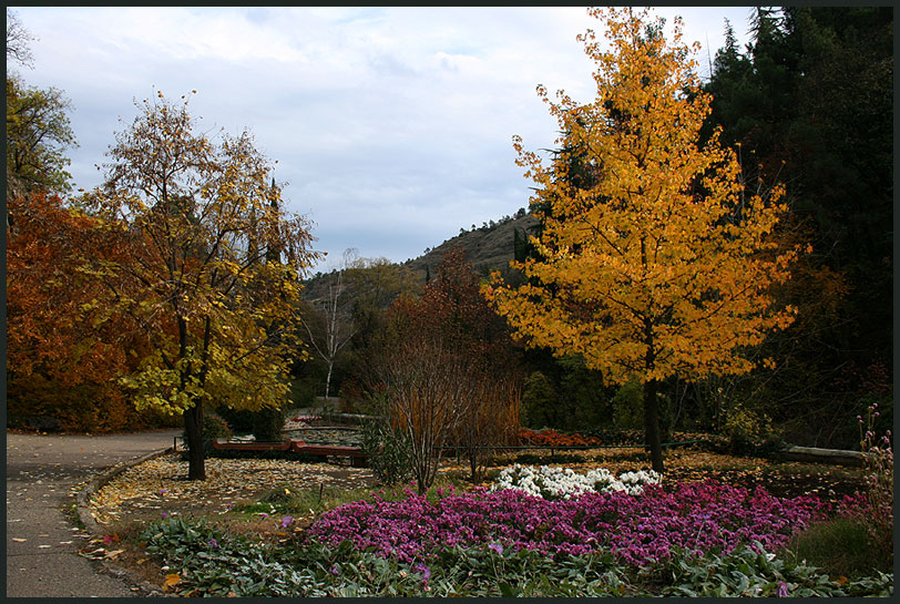  Autumn