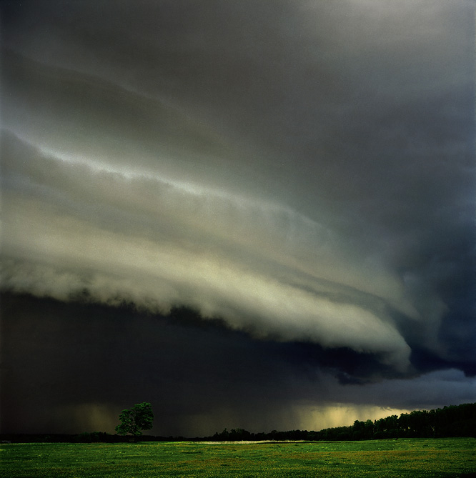  The tree and the storm