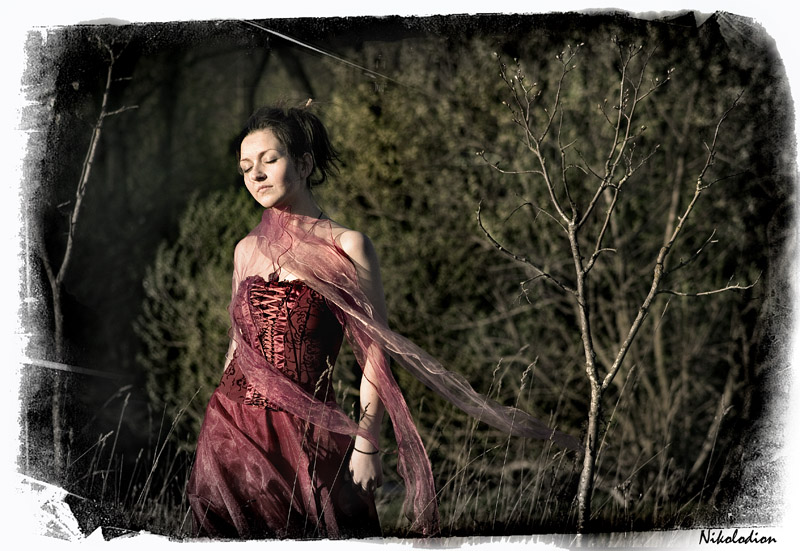  **FAYRY Tales #1**
