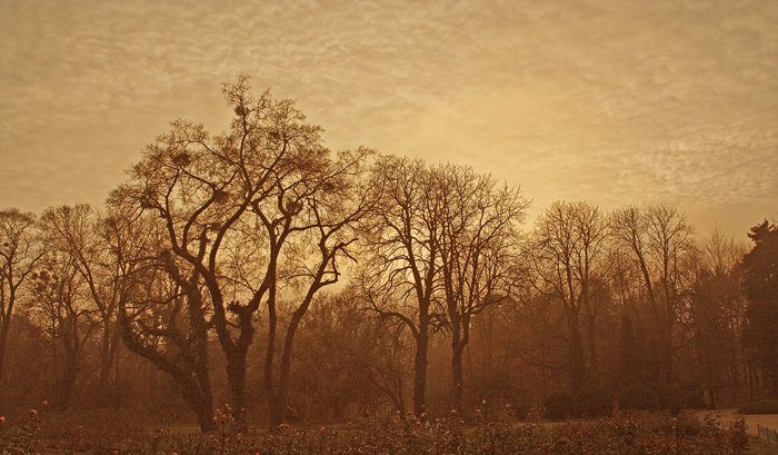  Romanian autumn