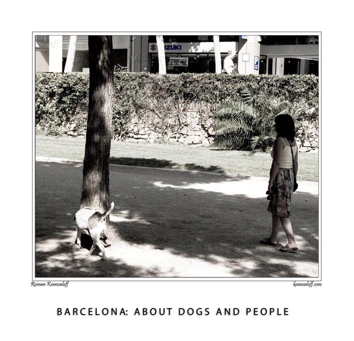  Barcelona: about dogs and people