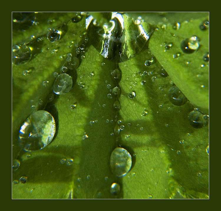  ***