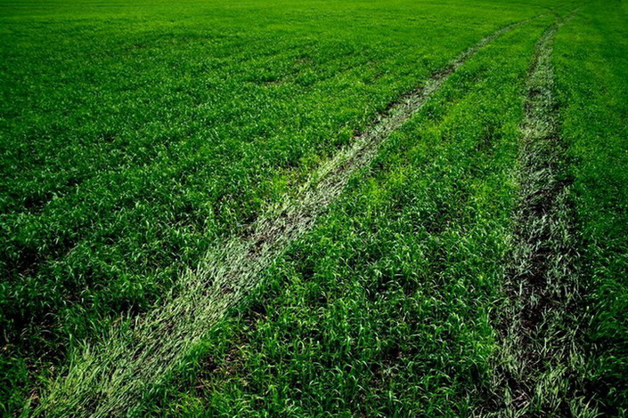  green way