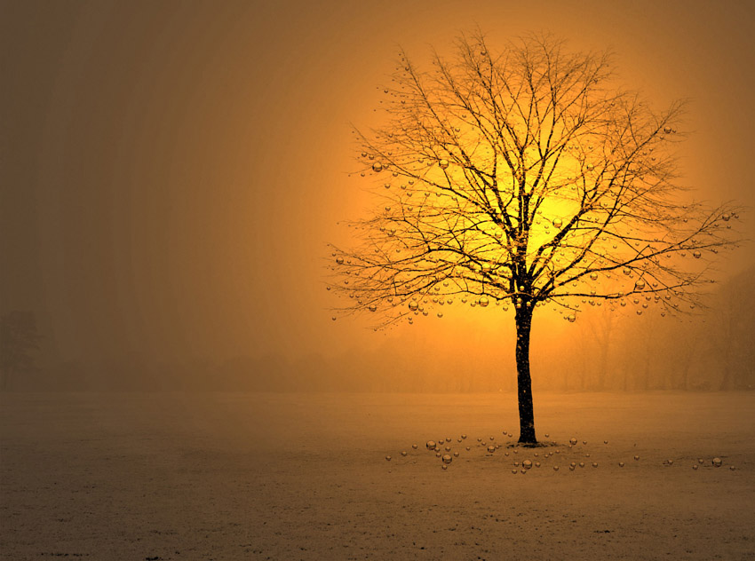  winter time # 1