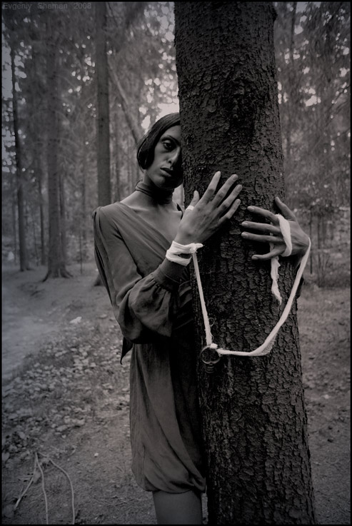  labyrinth - tree of memories