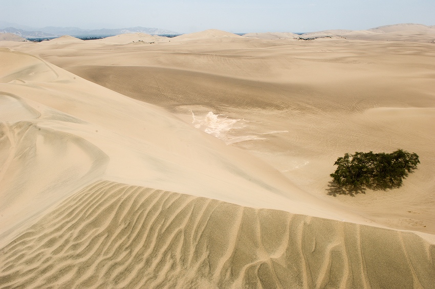  Nasca Desert