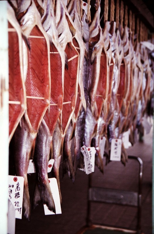  Meat. Fish. 