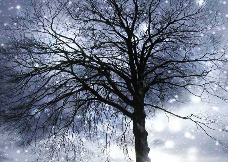  winter time # 3