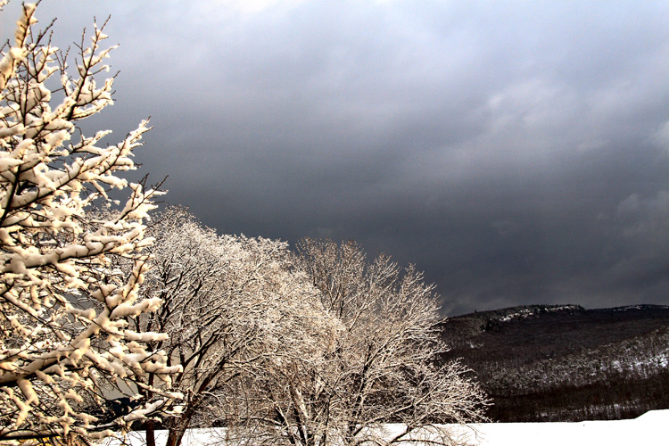  Snow Storm 