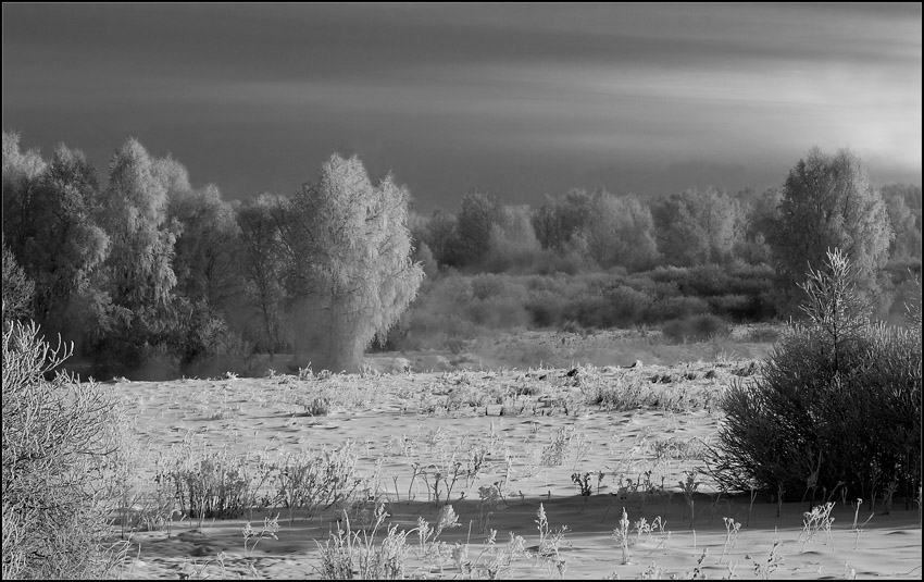  Winter silver