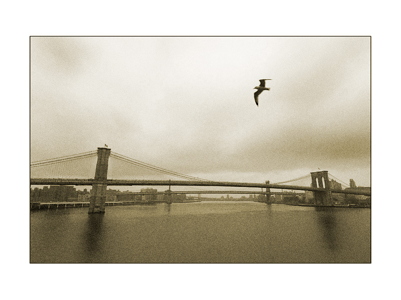  brooklyn bridge 2