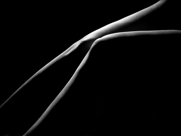   02115-31()