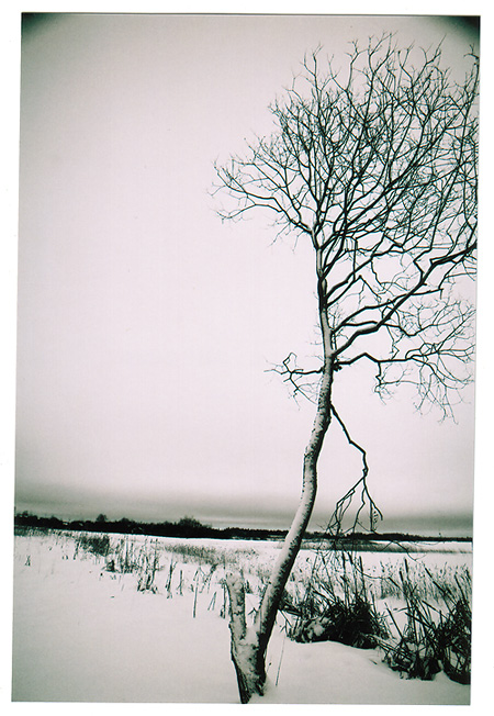  Nature blues
