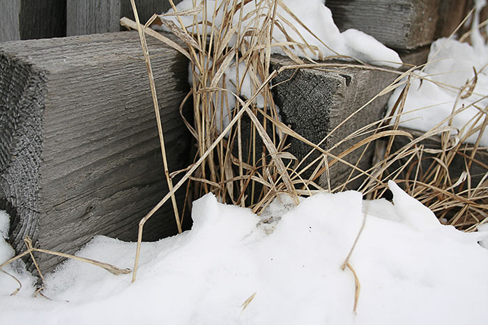  Nature Morte