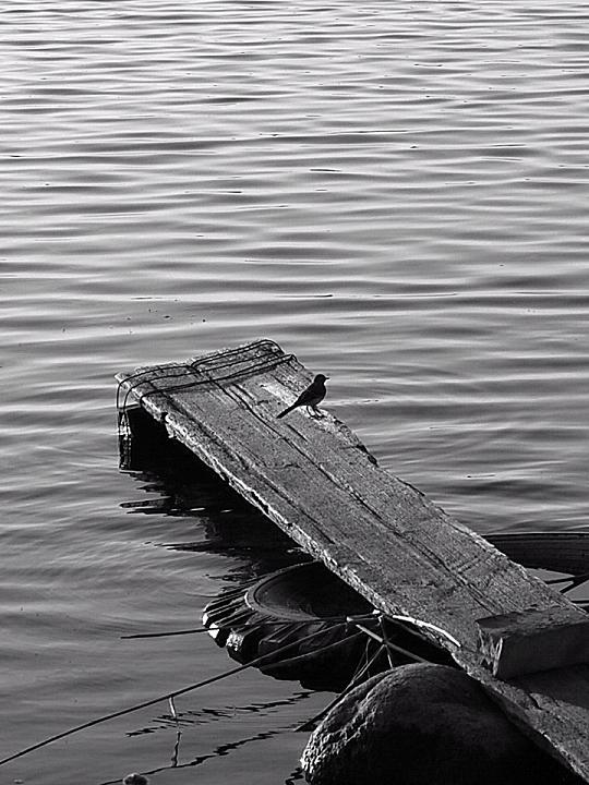  [Silence]