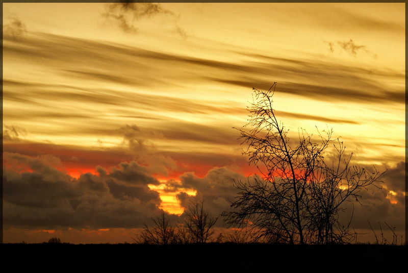  Goldenmood
