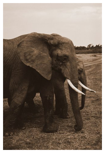  la afrique