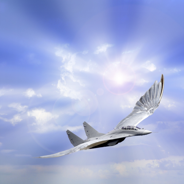  Flying Machine