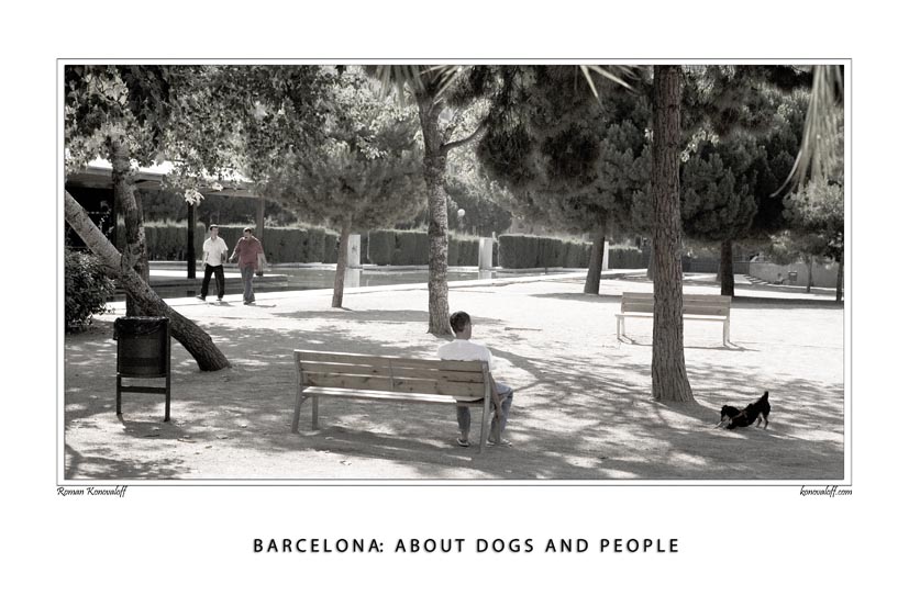  Barcelona: about dogs and people