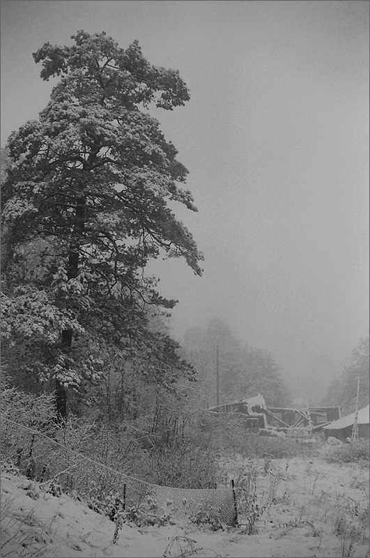 Dead Winter Dead 2