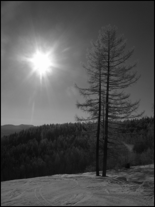  Lonely Day
