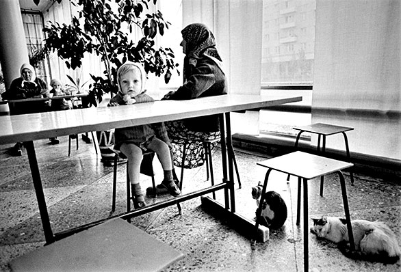   (  ) . 1979 .