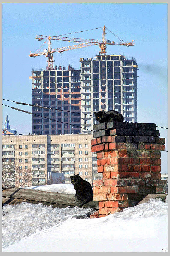   2008