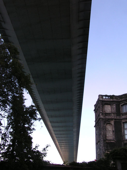  under the bridge