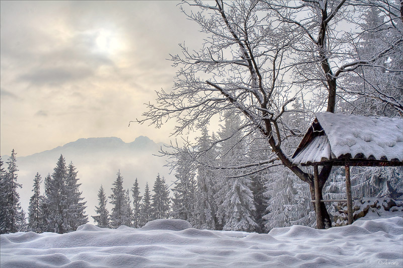  Winter in Poland