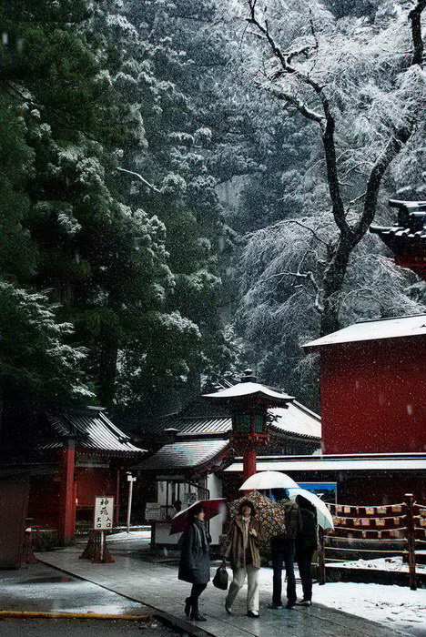  Snow in Nikko