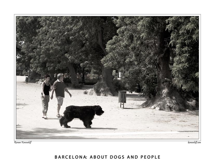  Barcelona: about dogs and people