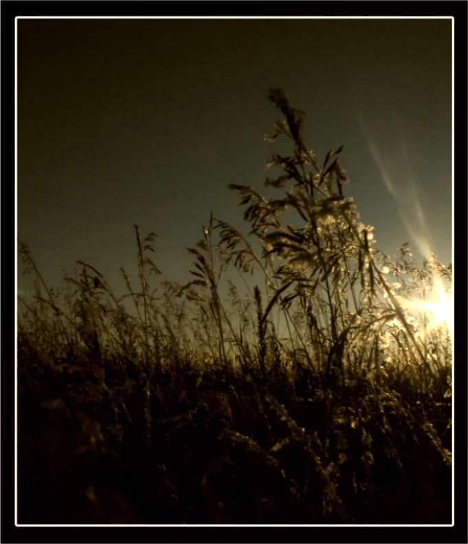  winter sunset