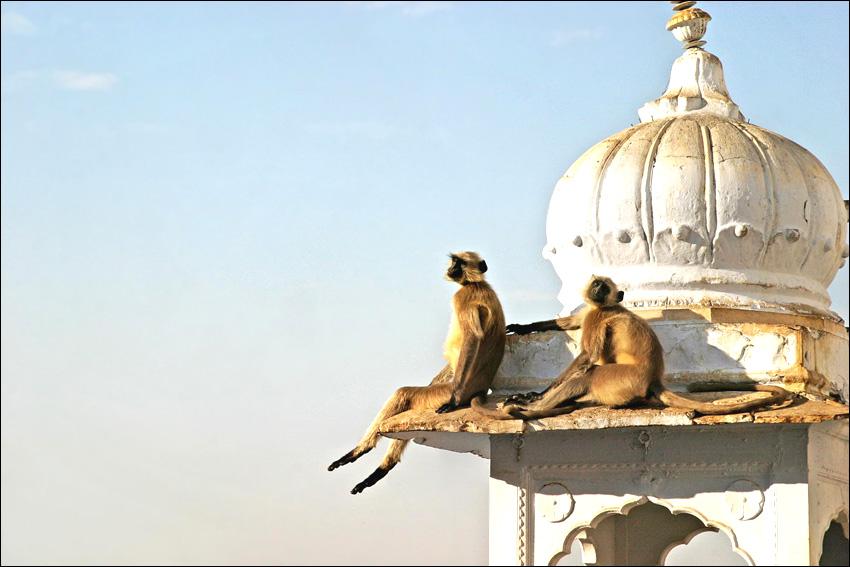  India morning
