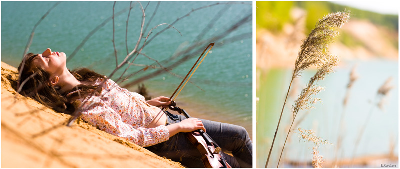 /sandy violin/
