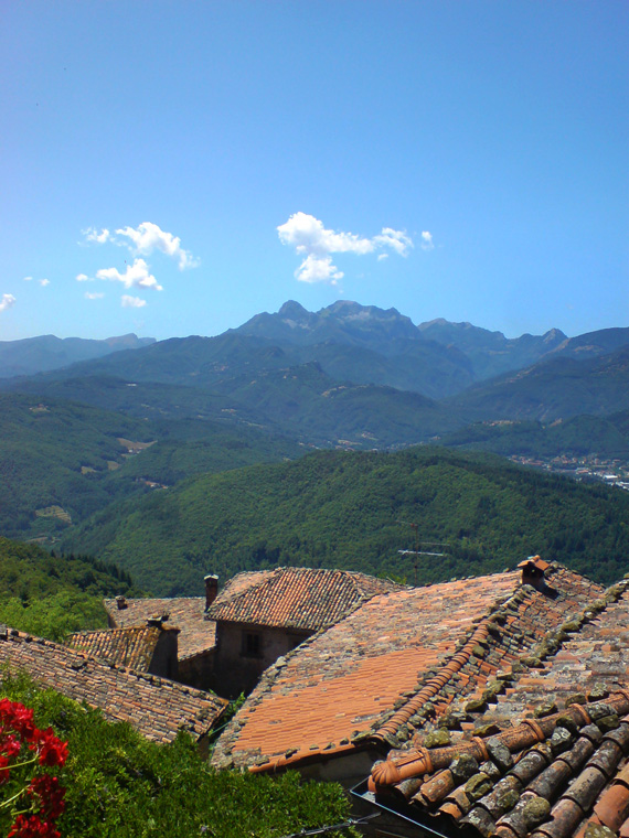  Silico (Italy)