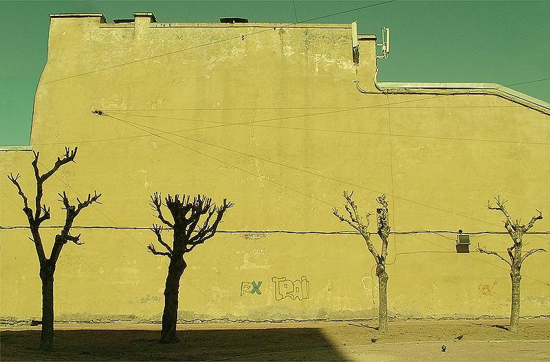  wall
