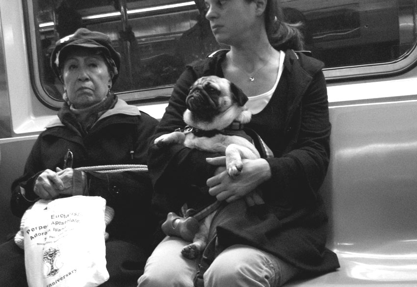  passenger