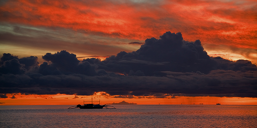    365   Tubbataha Reef