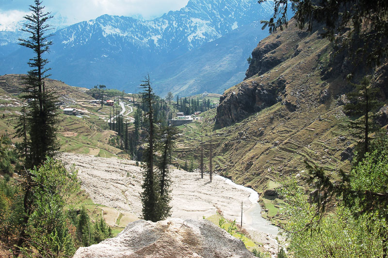  Gimalai.