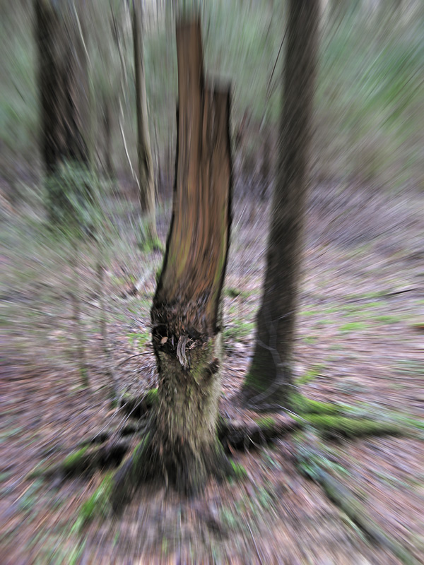  [ ,  ]