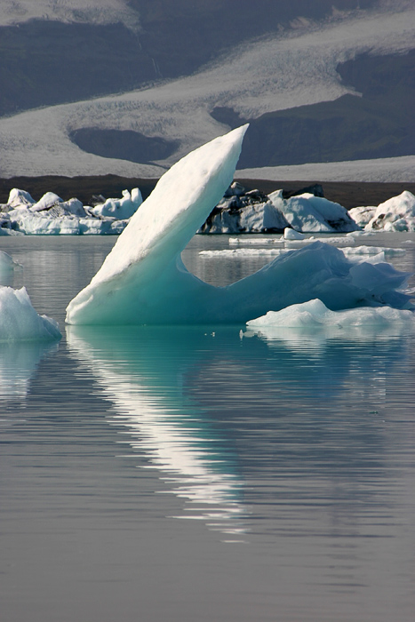  Iceland, Jokulsarlon (11)